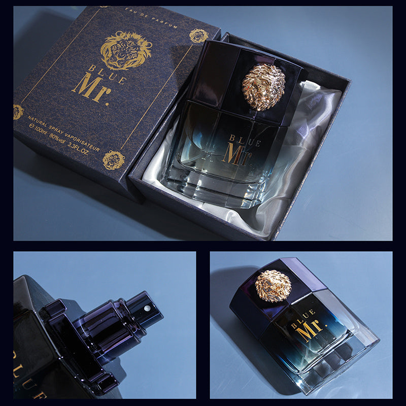Men's Long-lasting Fragrance, Niche Perfume - URBAN METRO